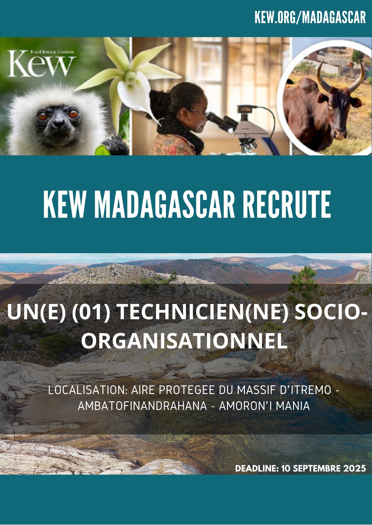 Recrutement d'un(e) Technicien(ne) Socio-Organisationnel